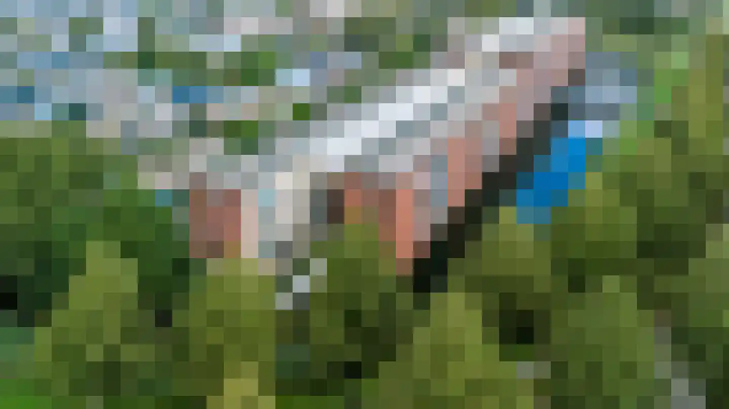 Sichtermanmarke 112 Zwolle thumbnail 11