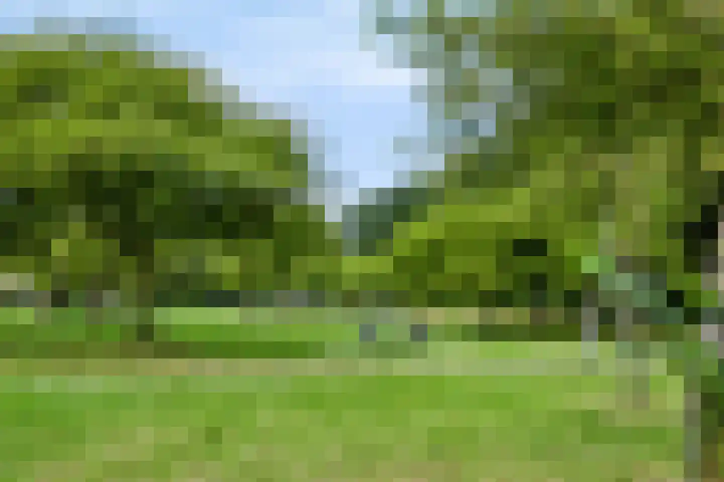 Sichtermanmarke 112 Zwolle thumbnail 29