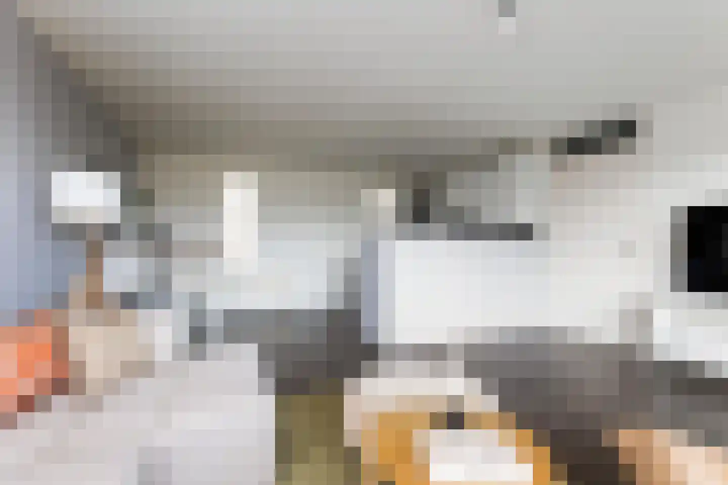 Sichtermanmarke 120 Zwolle thumbnail 15
