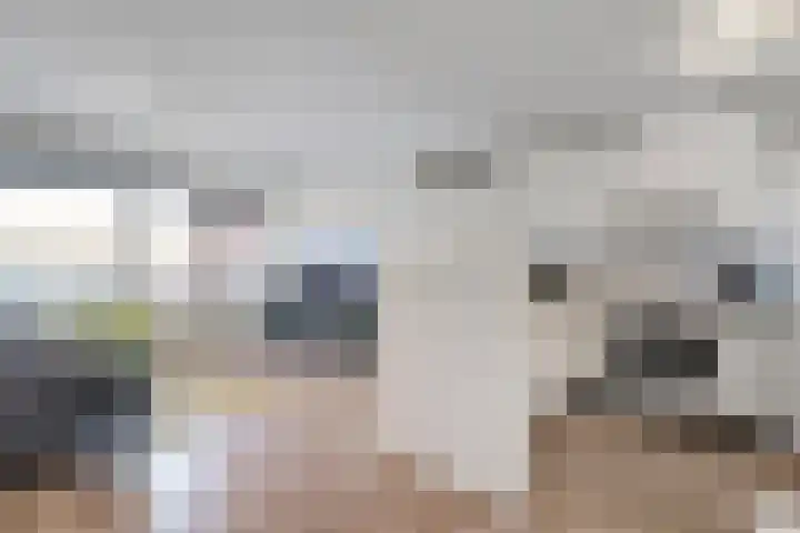 Sichtermanmarke 124 Zwolle thumbnail 11