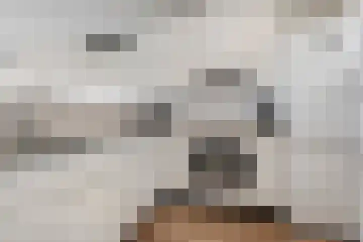 Sichtermanmarke 124 Zwolle thumbnail 12