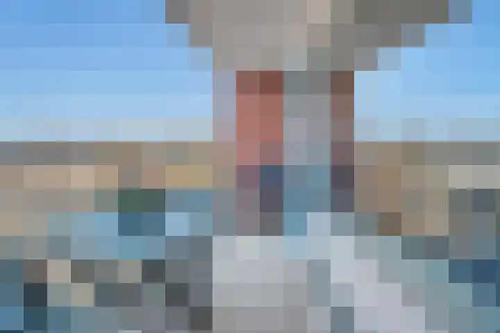 Sichtermanmarke 124 Zwolle thumbnail 15
