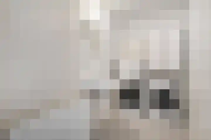Sichtermanmarke 124 Zwolle thumbnail 21