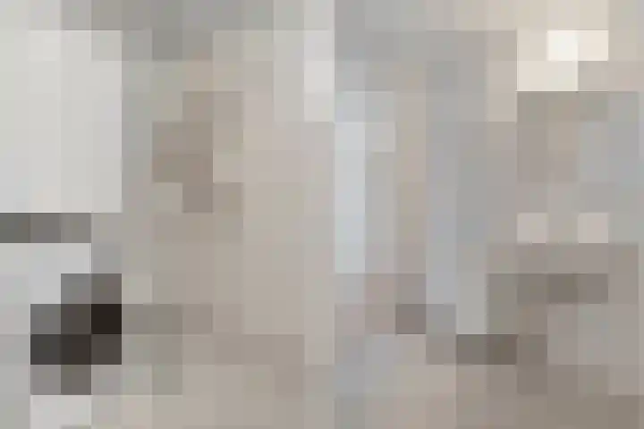 Sichtermanmarke 124 Zwolle thumbnail 22