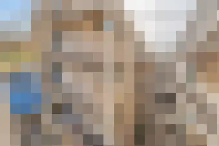 Sichtermanmarke 124 Zwolle thumbnail 30