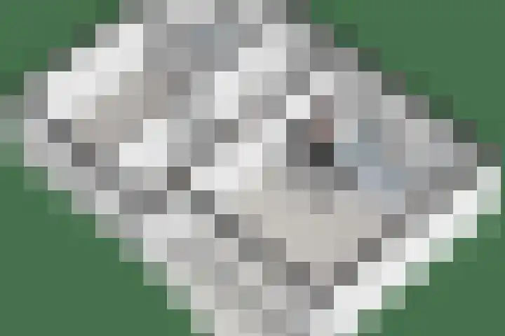 Sichtermanmarke 124 Zwolle thumbnail 34