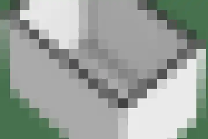 Sichtermanmarke 124 Zwolle thumbnail 35