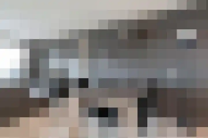 Sichtermanmarke 136 Zwolle thumbnail 16