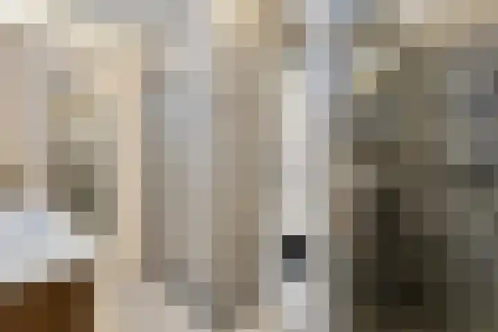 Sichtermanmarke 136 Zwolle thumbnail 22