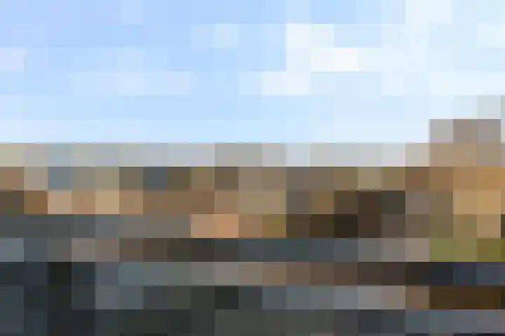 Sichtermanmarke 138 Zwolle thumbnail 10