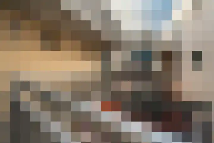 Sichtermanmarke 138 Zwolle thumbnail 24