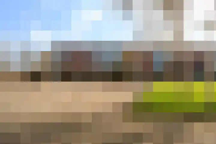 Sichtermanmarke 138 Zwolle thumbnail 26