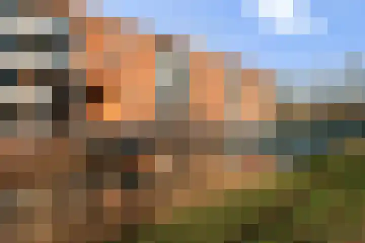 Sichtermanmarke 138 Zwolle thumbnail 27