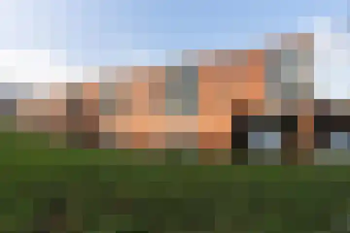 Sichtermanmarke 138 Zwolle thumbnail 28