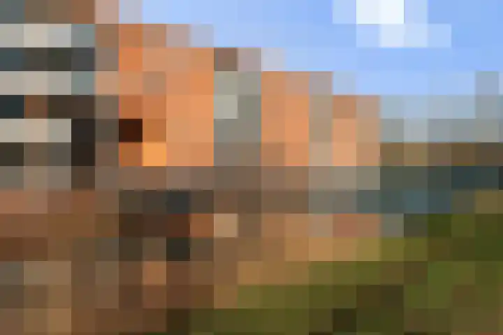 Sichtermanmarke 138 Zwolle thumbnail 32