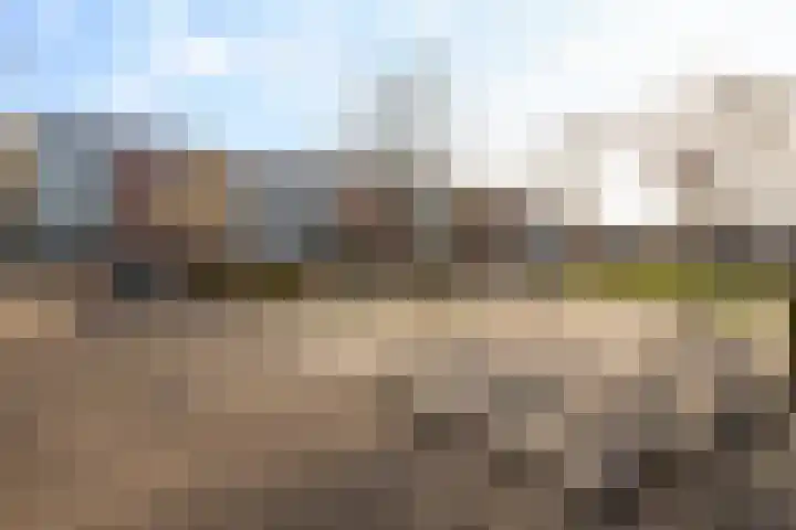 Sichtermanmarke 138 Zwolle thumbnail 33