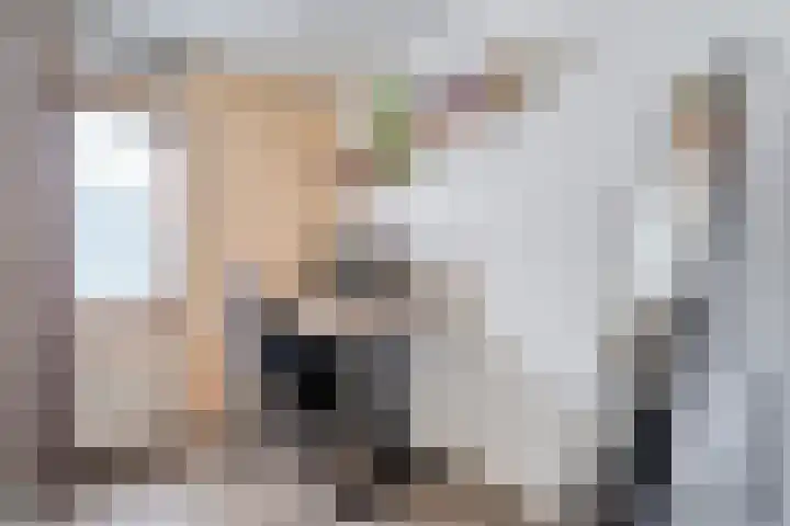 Sichtermanmarke 152 Zwolle thumbnail 21