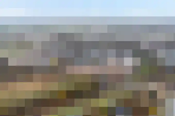 Sichtermanmarke 152 Zwolle thumbnail 5