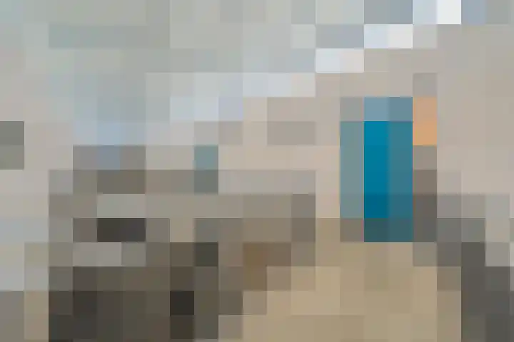 Sichtermanmarke 152 Zwolle thumbnail 9