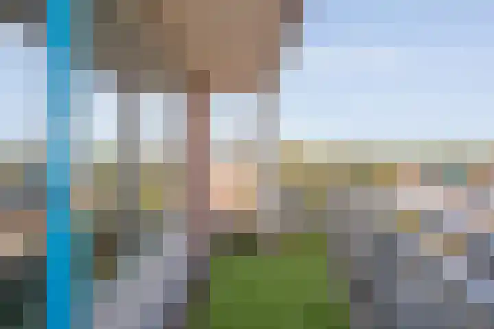 Sichtermanmarke 172 Zwolle thumbnail 14