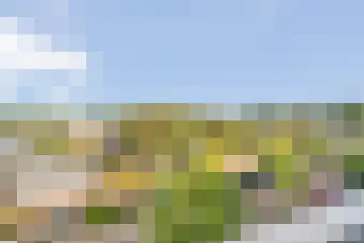 Sichtermanmarke 172 Zwolle thumbnail 15