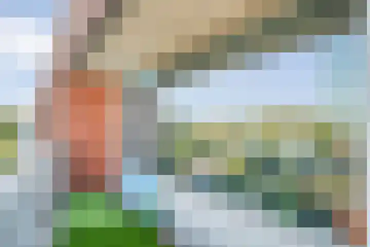 Sichtermanmarke 172 Zwolle thumbnail 16