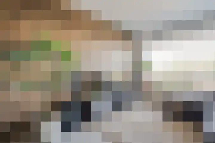 Sichtermanmarke 172 Zwolle thumbnail 18