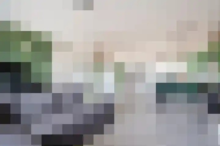 Sichtermanmarke 172 Zwolle thumbnail 19
