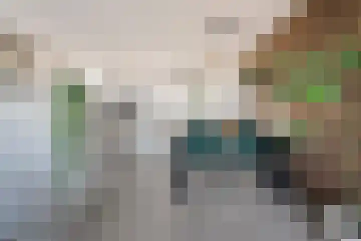Sichtermanmarke 172 Zwolle thumbnail 22