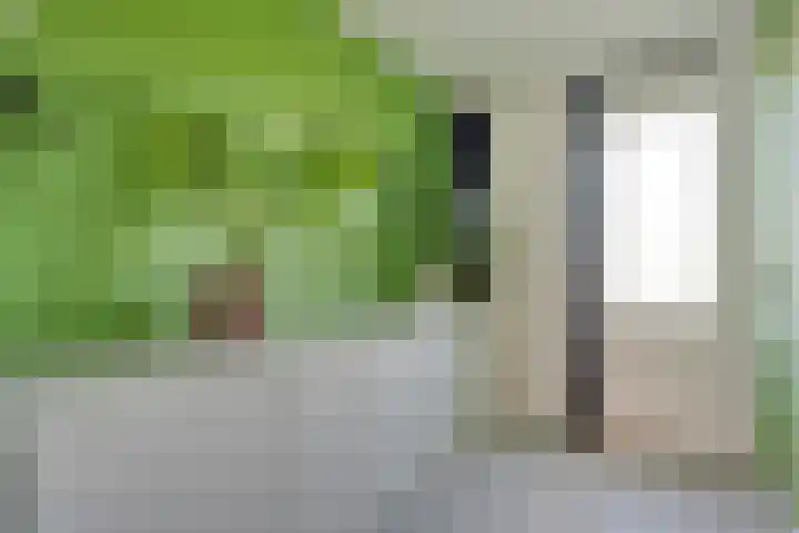 Sichtermanmarke 172 Zwolle thumbnail 28