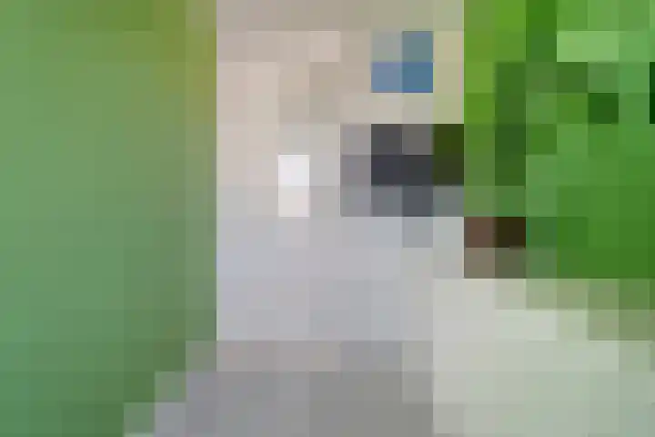 Sichtermanmarke 172 Zwolle thumbnail 29