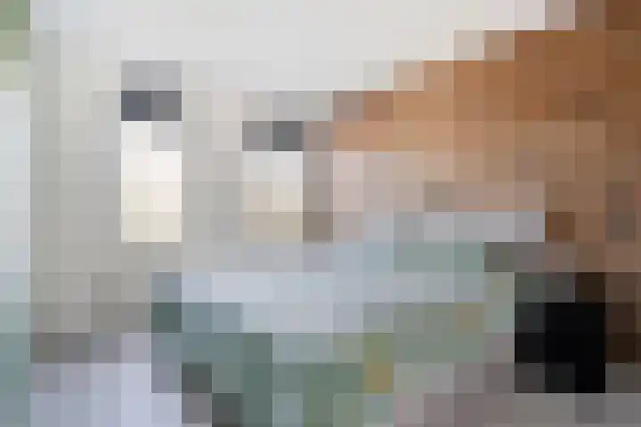 Sichtermanmarke 172 Zwolle thumbnail 31