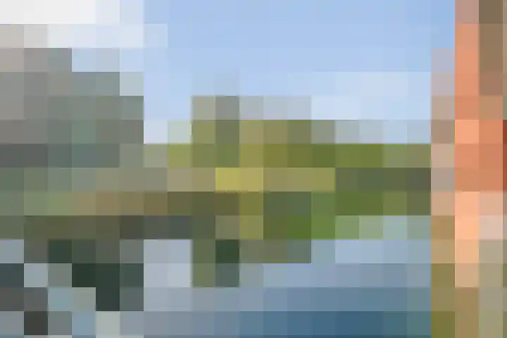 Sichtermanmarke 172 Zwolle thumbnail 36