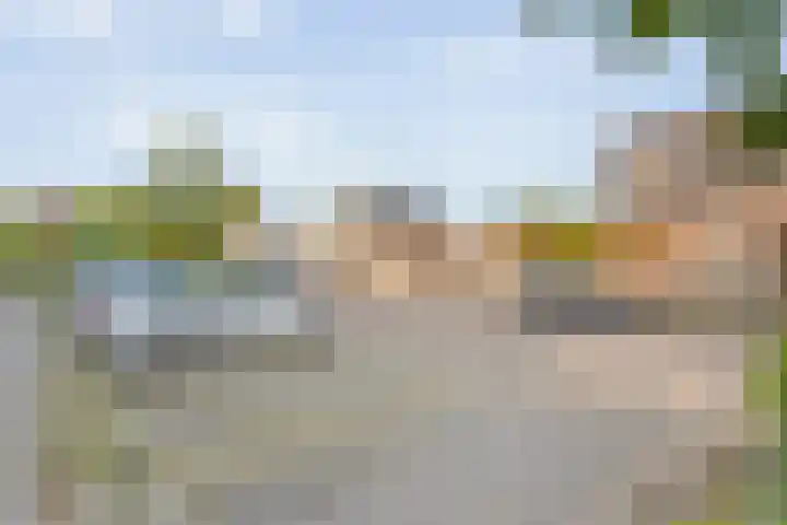 Sichtermanmarke 172 Zwolle thumbnail 37