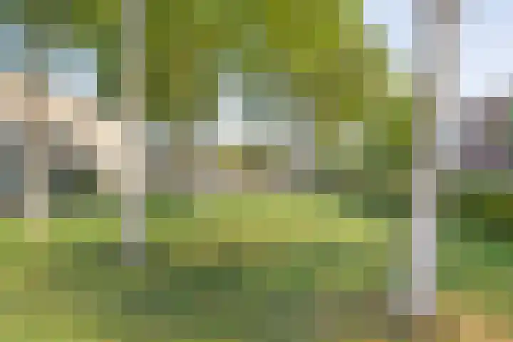 Sichtermanmarke 172 Zwolle thumbnail 38