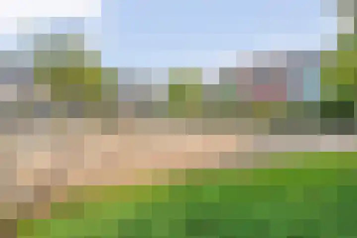 Sichtermanmarke 172 Zwolle thumbnail 39