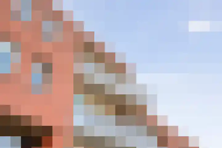 Sichtermanmarke 172 Zwolle thumbnail 4