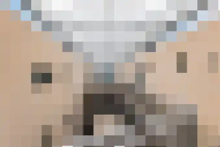 Sichtermanmarke 184 Zwolle thumbnail 12