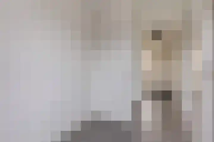 Sichtermanmarke 184 Zwolle thumbnail 32