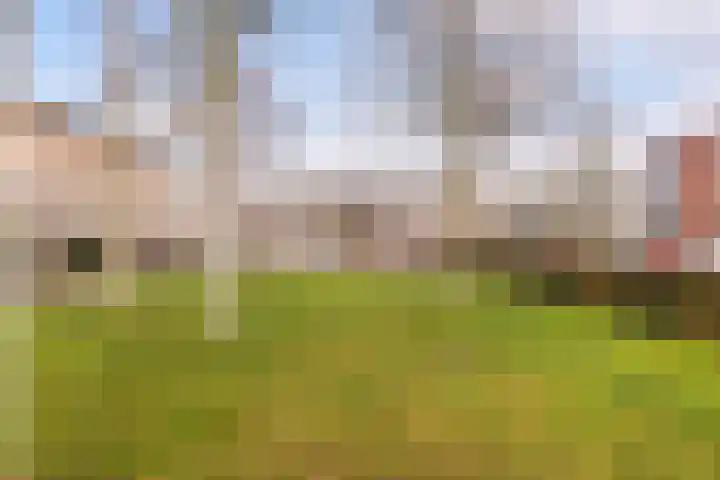 Sichtermanmarke 184 Zwolle thumbnail 50