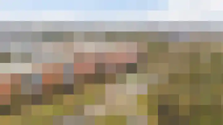 Sichtermanmarke 184 Zwolle thumbnail 58