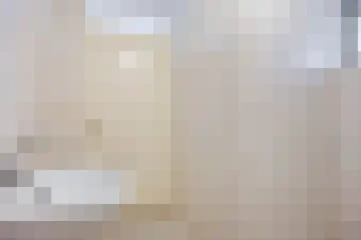 Sichtermanmarke 220 Zwolle thumbnail 13