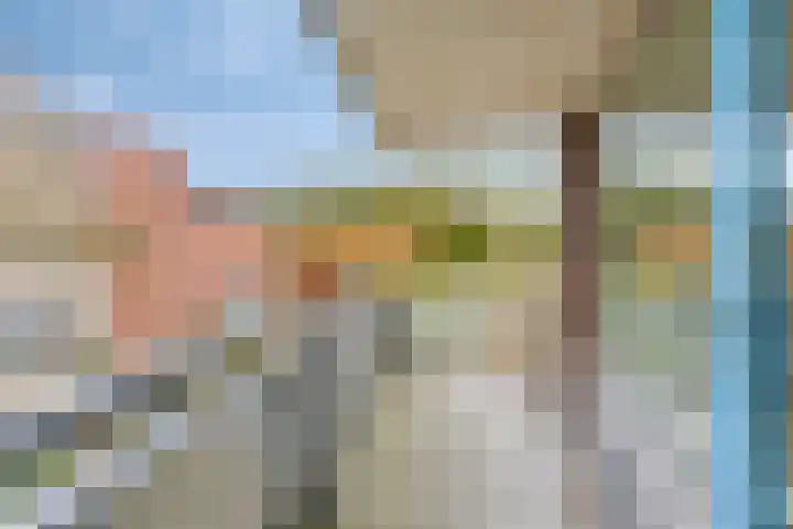 Sichtermanmarke 220 Zwolle thumbnail 14