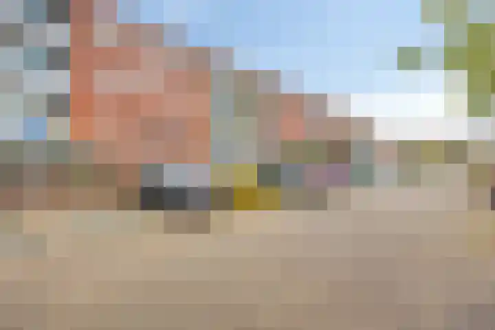Sichtermanmarke 220 Zwolle thumbnail 19