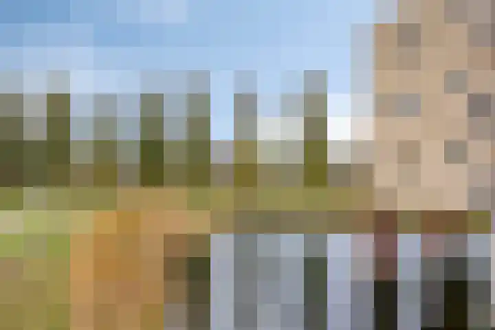 Sichtermanmarke 220 Zwolle thumbnail 20