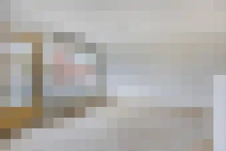 Sichtermanmarke 220 Zwolle thumbnail 5