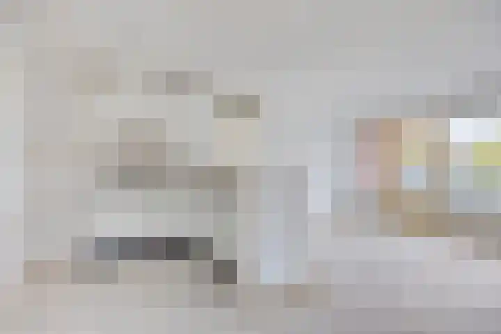 Sichtermanmarke 220 Zwolle thumbnail 6