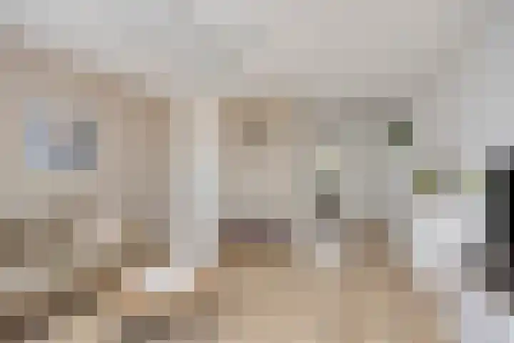Sichtermanmarke 236 Zwolle thumbnail 10