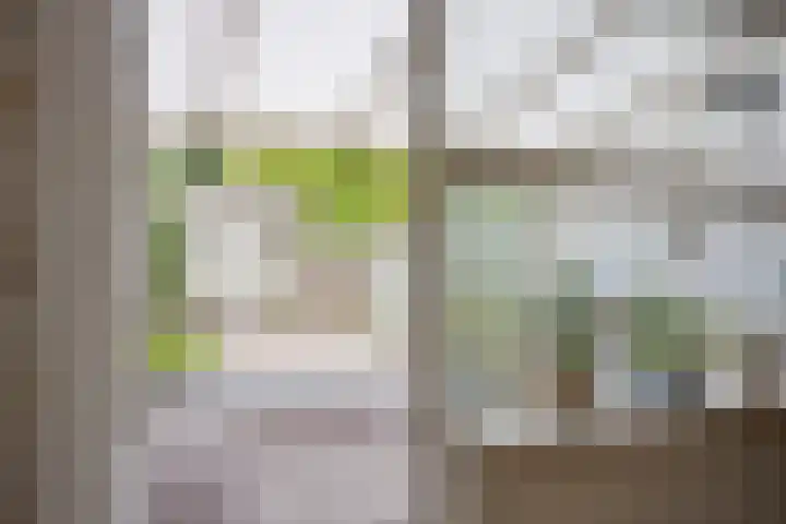 Sichtermanmarke 236 Zwolle thumbnail 11