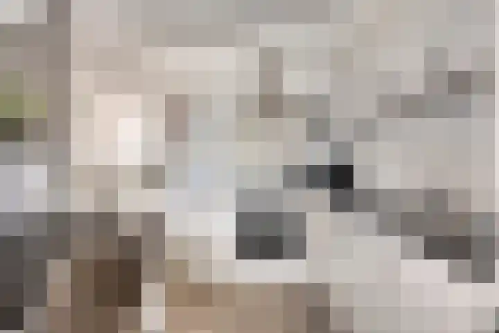 Sichtermanmarke 236 Zwolle thumbnail 12